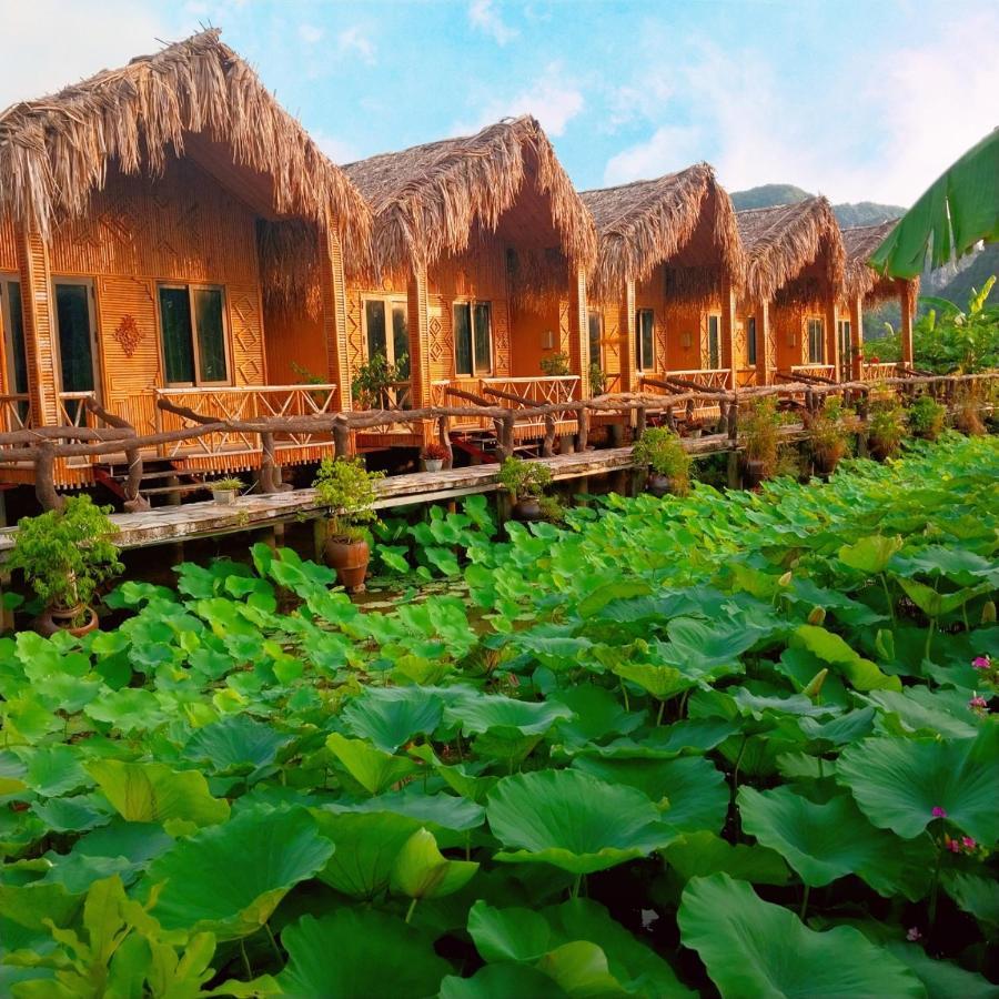 Hang Mua Lotus Homestay نينه بينه المظهر الخارجي الصورة