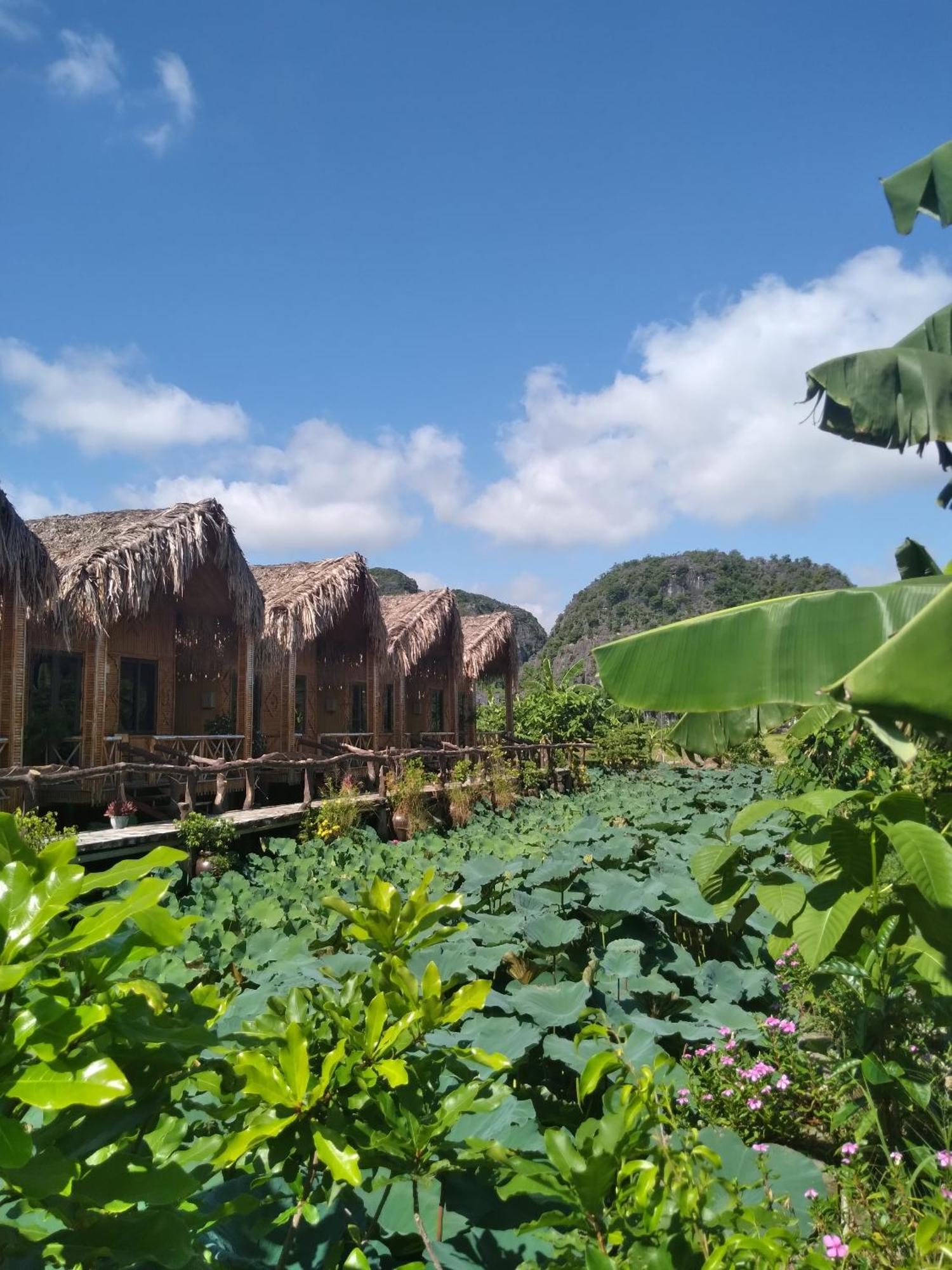 Hang Mua Lotus Homestay نينه بينه المظهر الخارجي الصورة