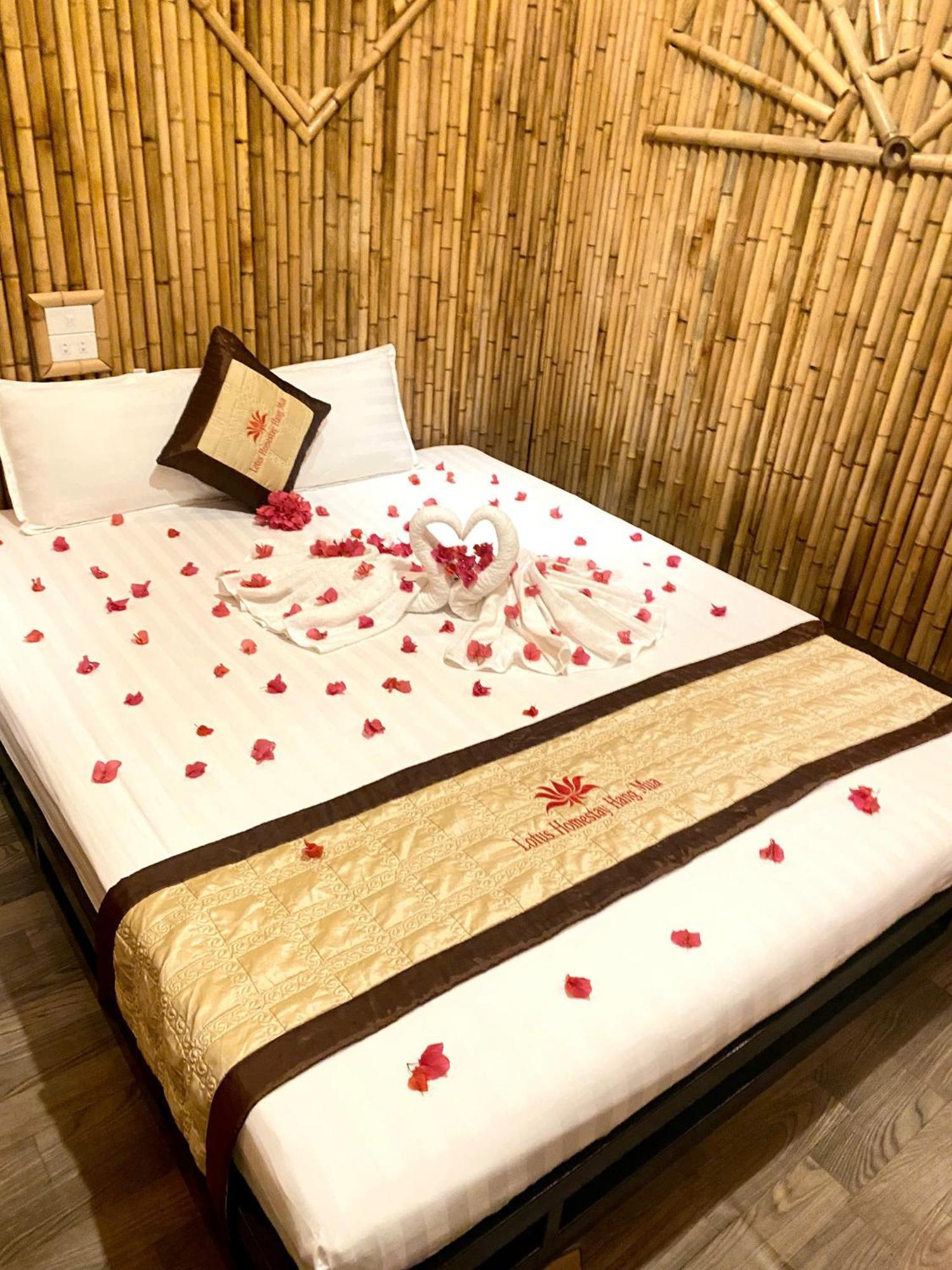 Hang Mua Lotus Homestay نينه بينه المظهر الخارجي الصورة